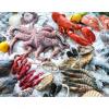 Microwave Thawing Machine for Frozen Seafood