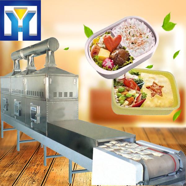 Industrial Microwave Fast Food Heating Food Sterilization Equipment #1 image
