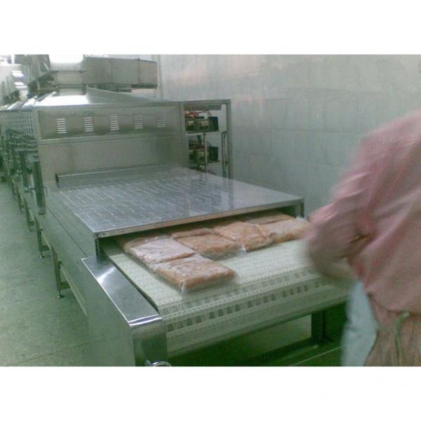 Microwave Thawing Machine for Frozen Seafood #3 image