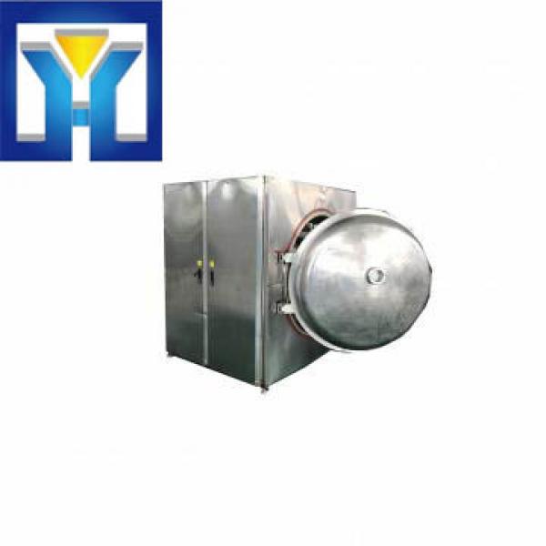 Stainless Steel Microwave Vacuum Drying Machine #1 image