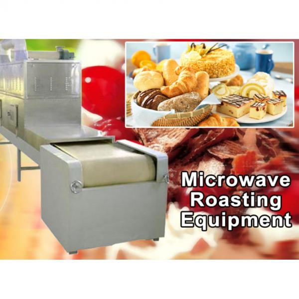 Microwave Oat Drying And Sterilizing Machine #1 image