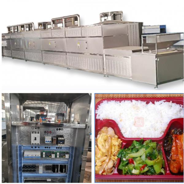Industrial Microwave Fast Food Heating Food Sterilization Equipment #2 image