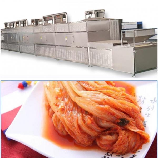 Industrial Microwave Sterilizing Machine For Pickles #1 image